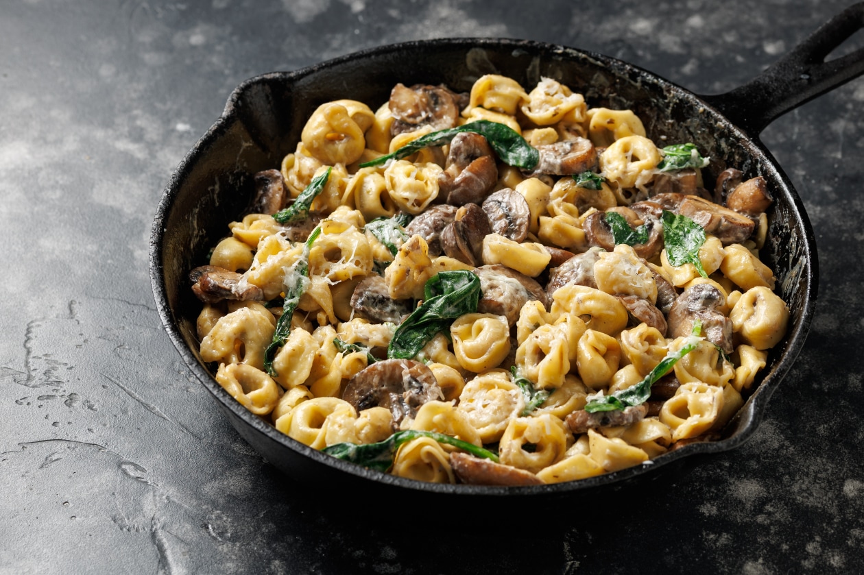 Peynir Soslu Tortellini – | UFS