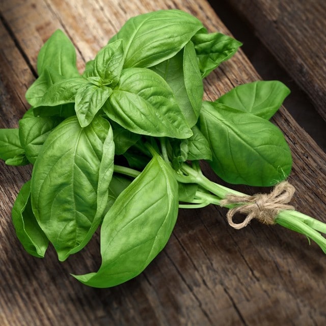 Fesleğen Nerede Kullanılır? Fesleğen Hangi Yemeklerde Kullanılır