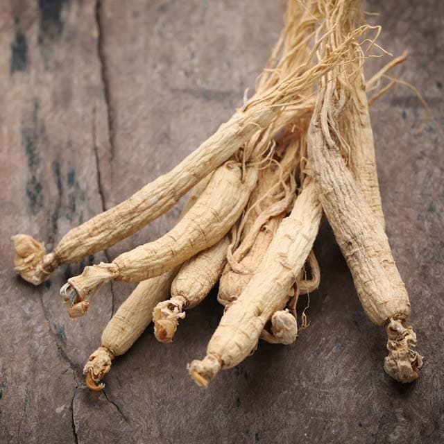 Ginseng Nedir? Ginseng Ne işe Yarar? Ginseng Faydaları