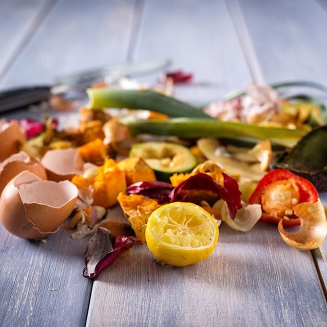 Gıda Atığının Geri Dönüşümü