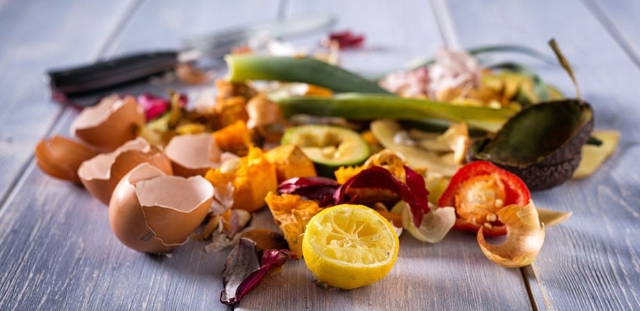 Gıda Atığının Geri Dönüşümü