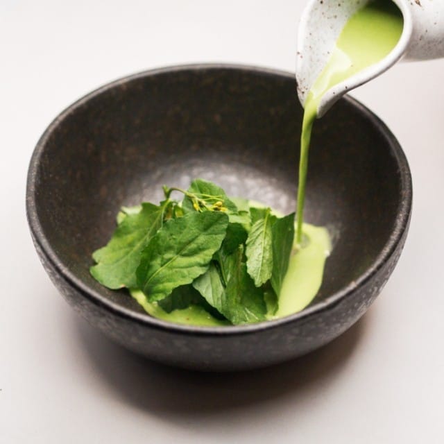 Yeşillikler Nasıl Saklanır? Yeşillikleri Uzun Süre Saklama Yolları