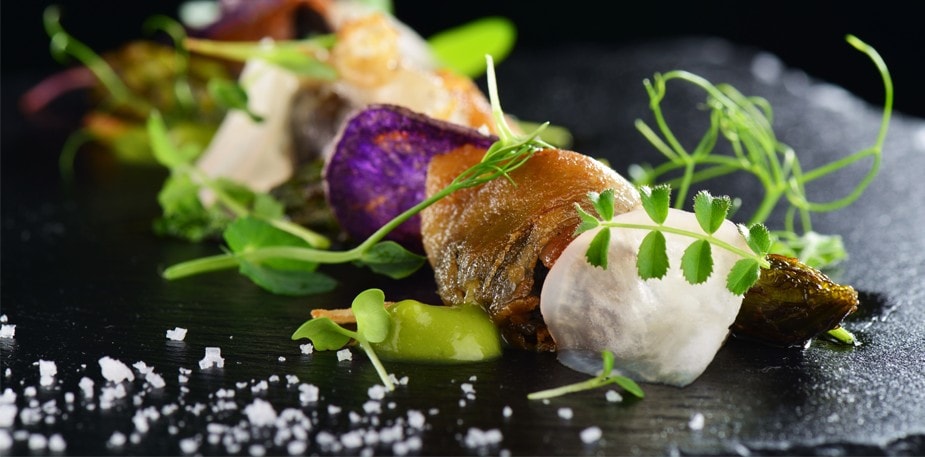 Gastronomi Sözlüğü & Gastronomi Hakkında