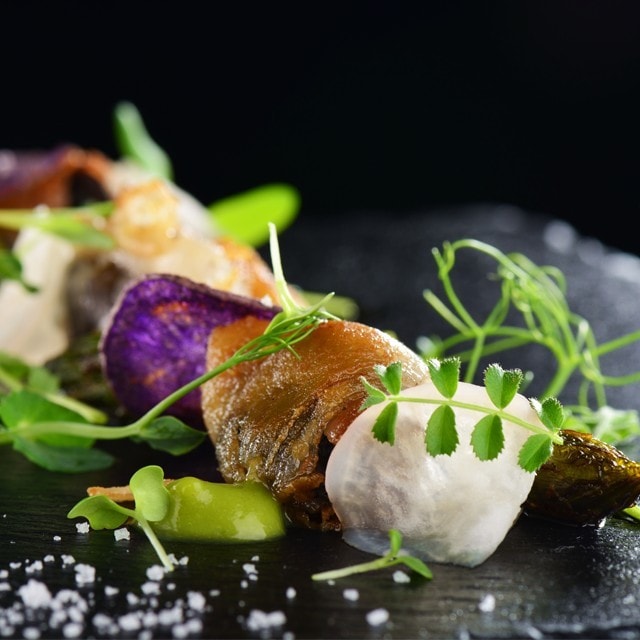 Gastronomi Sözlüğü & Gastronomi Hakkında