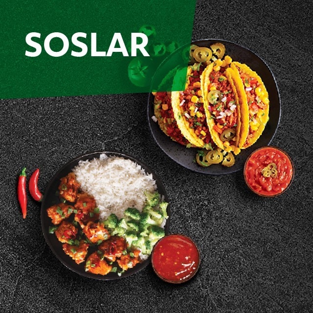 Knorr Professional Soslar