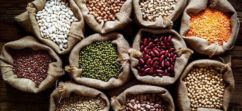 Bitkisel Bazlı Beslenme Malzemeleri 2: Baklagiller