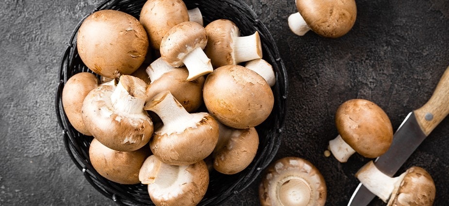 Bitkisel Bazlı Beslenme Malzemeleri 5: Mantarlar