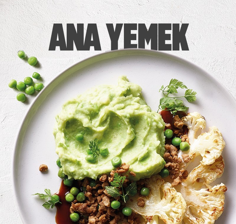 ANA YEMEK