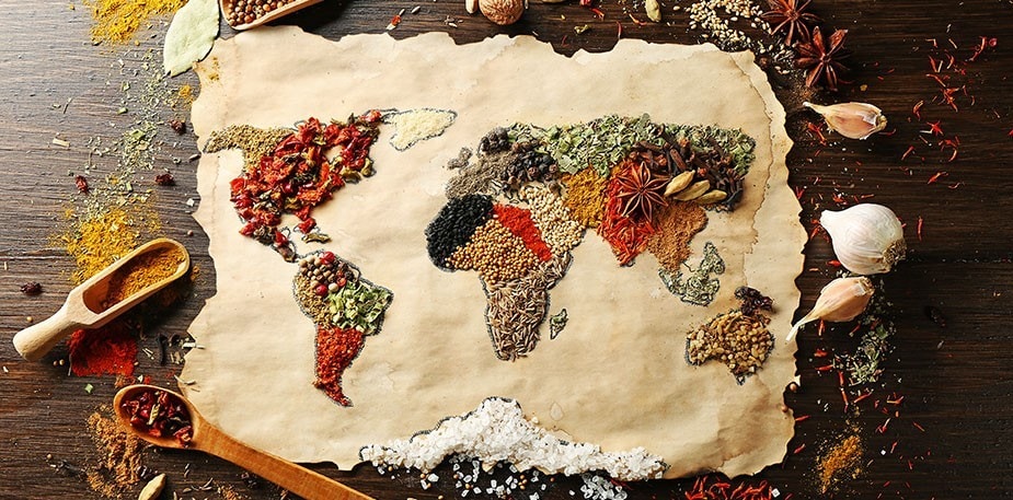 Bitki bazlı mutfak hakkında her şey.