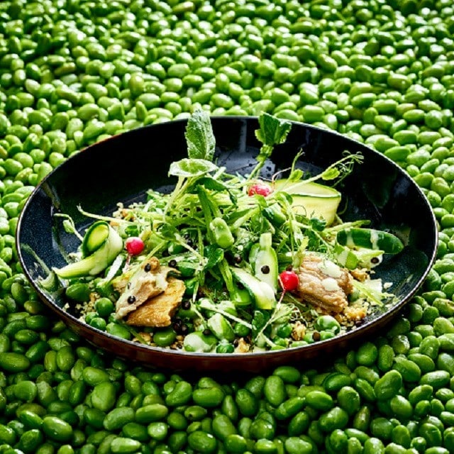 Heyecan verici bitki bazlı - tabağınıza nasıl renk katabilirsiniz!