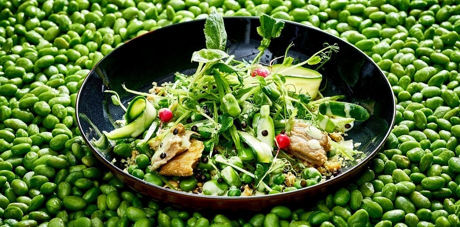 Heyecan verici bitki bazlı - tabağınıza nasıl renk katabilirsiniz!