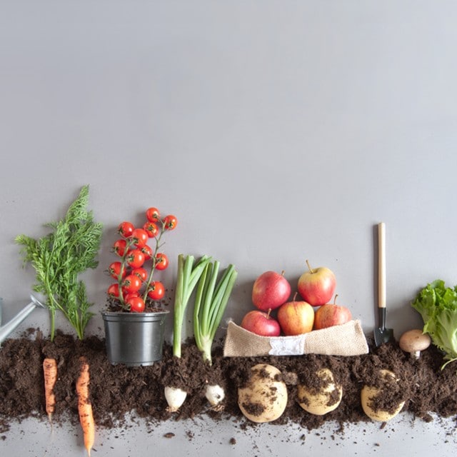 Kompost Nedir, Nasıl Yapılır? Mutfaklarda Geri Dönüşüm